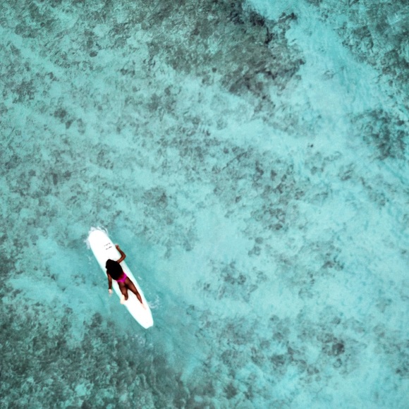 Meet your Posher, D - Picture 2 of 2